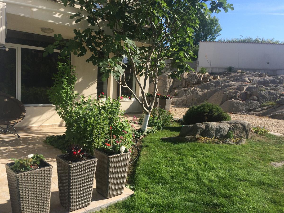 Apolonia Apartments سوزوبول المظهر الخارجي الصورة